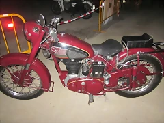 IMG_1162 IMG_1162