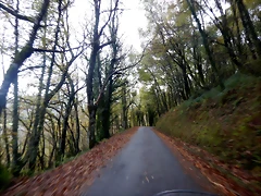 DSCN2973 DSCN2973