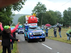 IMG_6931 IMG_6931