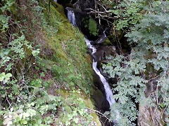 DSCN1397 DSCN1397
