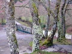 DSCN7677 DSCN7677