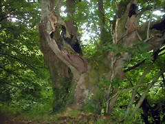 DSCN4758 DSCN4758