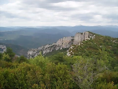 P9120038 P9120038