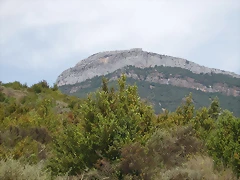 P9120051 P9120051
