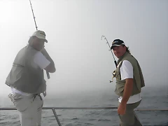 DSCN3186