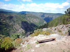 DSCN7782 DSCN7782