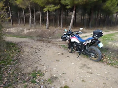 Trans_GIVI Trans_GIVI