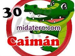 caiman