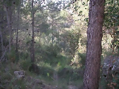 PICT0180