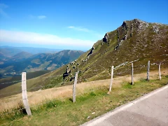 DSCN8444 DSCN8444