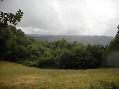 DSCN4725 DSCN4725