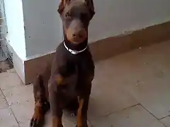 Carlos 3 meses y 10 dias