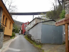 DSCN3498 DSCN3498