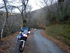 DSCN0118'5