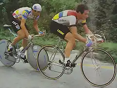 MOSER_HINAULT_1984