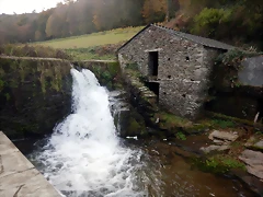 DSCN0579 DSCN0579