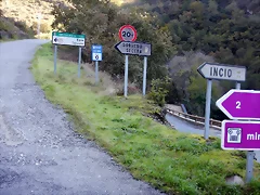 DSCN4239 DSCN4239
