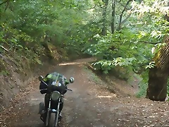 IMG_20220808_154410_1 IMG_20220808_154410_1
