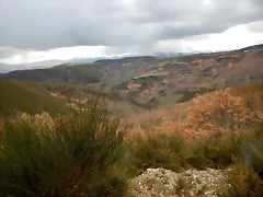 DSCN9493 DSCN9493