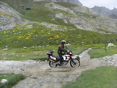 R0013054 R0013054