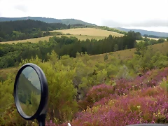 DSCN1342 DSCN1342