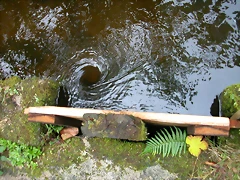 DSCN5768 DSCN5768
