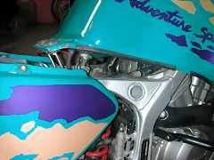 DSCN6441