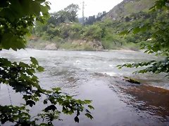 DSCN5589'6 DSCN5589'6