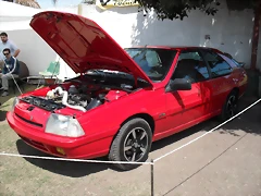 SDC10451 SDC10451