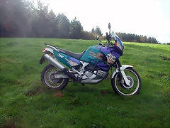DSCN4690 DSCN4690