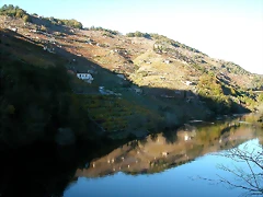 DSCN6464 DSCN6464