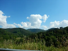 DSCN2307