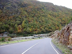 DSCN5919 DSCN5919
