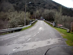 DSCN2784 DSCN2784