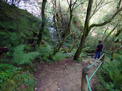 DSCN5828 DSCN5828