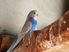 20180805_124827