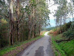 DSCN6239 DSCN6239