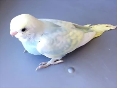 IMG-20170717-WA0001 IMG-20170717-WA0001