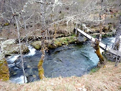 DSCN3961 DSCN3961