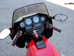 IMG_1334 IMG_1334