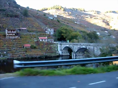 DSCN6510 DSCN6510