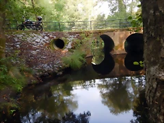 DSCN8409