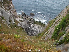 DSCN3244 DSCN3244