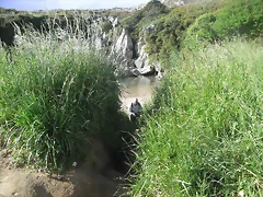 R0012672 R0012672