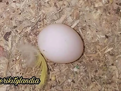 FB_IMG_1537614349032 FB_IMG_1537614349032