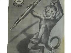 19259611 19259611