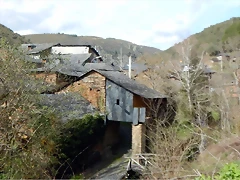 DSCN3183 DSCN3183