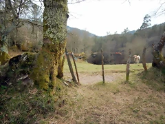 DSCN9566 DSCN9566