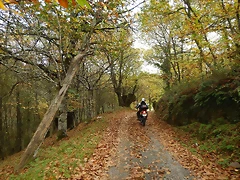 DSCN9909 DSCN9909