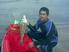 Dom26 009 Dom26 009